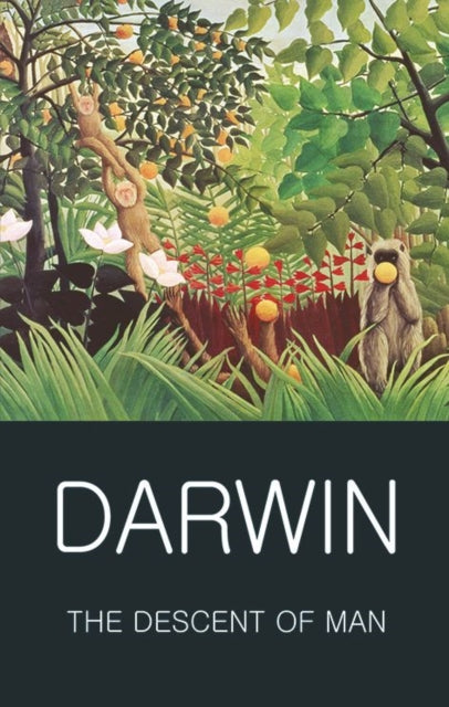 Descent of Man 9781840226980 Charles Darwin
