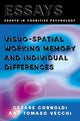 Book cover of: Visuo-spatial Working Memory and Individual Differences. By: Cesare Cornoldi