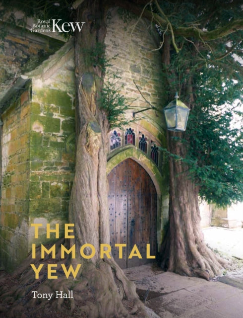 Book cover of: Immortal Yew, The. By: Tony Hall