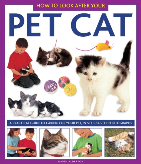 Book cover of: How to Look After Your Pet Cat