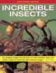 Book cover of: Exploring Nature: Incredible Insects