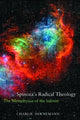 Book cover of: Spinoza's Radical Theology