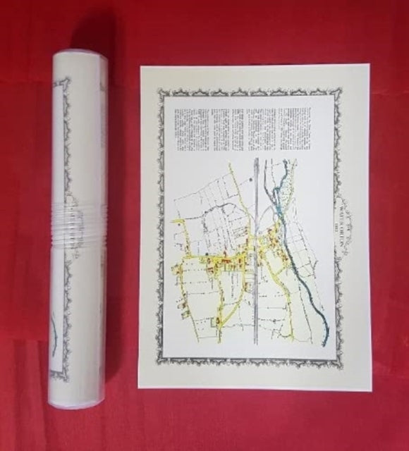 Book cover of: Water Orton 1882 - Old Map Supplied Rolled in a Clear Two Part Screw Presentation Tube - Print Size 45cm x 32cm