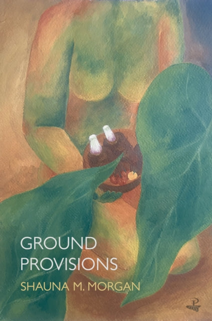 Book cover of: Ground Provisions