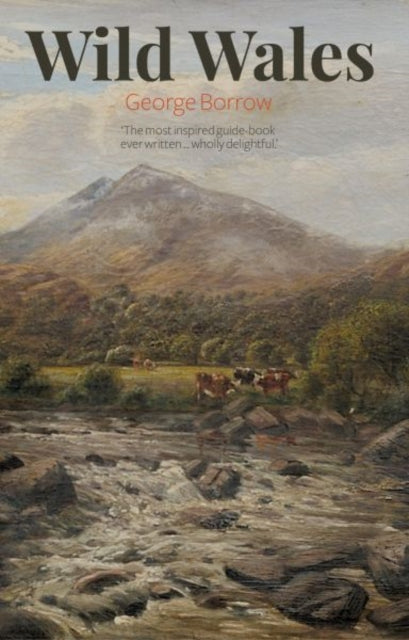 Book cover of: Wild Wales
