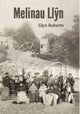 Book cover of: Melinau Llyn. By: Glyn Roberts