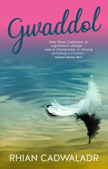 Book cover of: Gwaddol. By: Rhian Cadwaladr