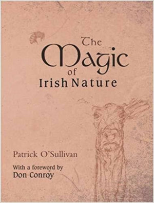The Magic of Irish Nature