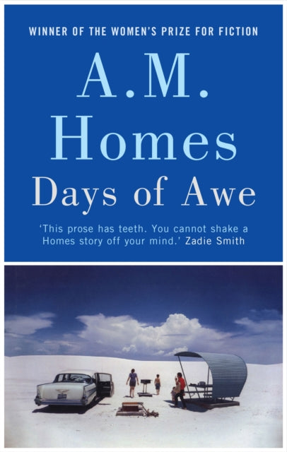 Book cover of: Days of Awe. By: A.M. Homes