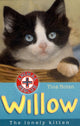 Book cover of: Willow. By: Tina Nolan