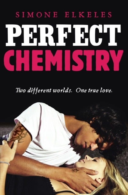 Book cover of: Perfect Chemistry