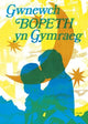 Book cover of: Gwnewch Bopeth yn Gymraeg (Poster)