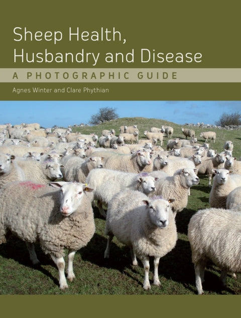 Sheep Health, Husbandry and Disease