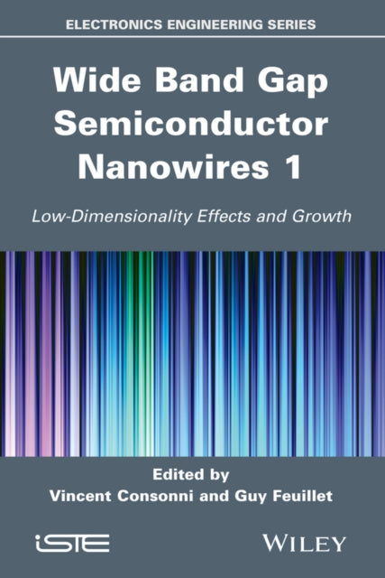 Book cover of: Wide Band Gap Semiconductor Nanowires 1. By: Vincent Consonni