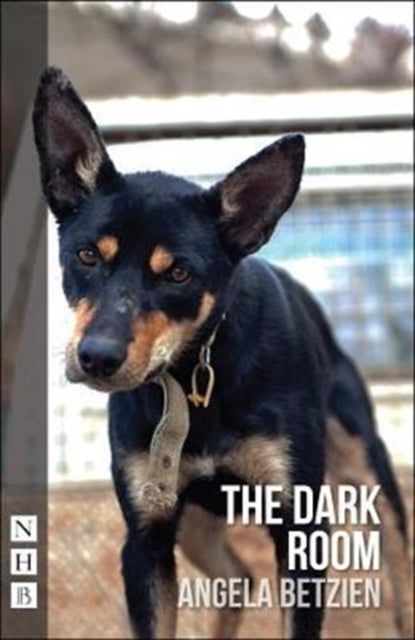 Book cover of: Dark Room. By: Angela Betzien
