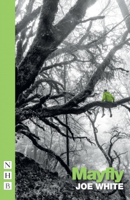 Book cover of: Mayfly. By: Joe White