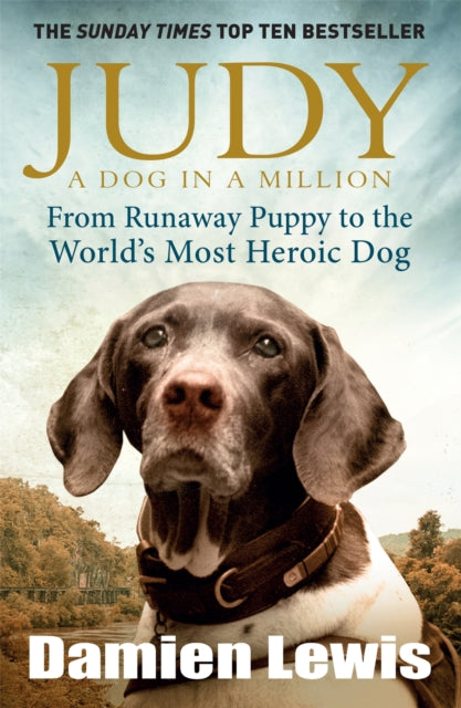 Book cover of: Judy: A Dog in a Million. By: Damien Lewis