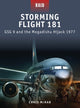 Book cover of: Storming Flight 181