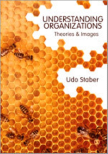 Book cover of: Understanding Organizations. By: Udo Staber