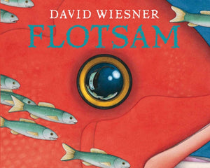 Flotsam, A Caldecott Award Winner