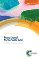 Book cover of: Functional Molecular Gels