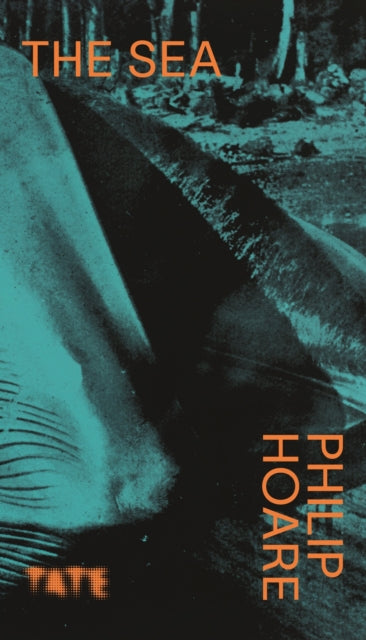 Book cover of: Look Again: The Sea. By: Phillip Hoare