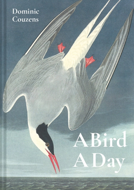 Book cover of: Bird A Day. By: Dominic Couzens