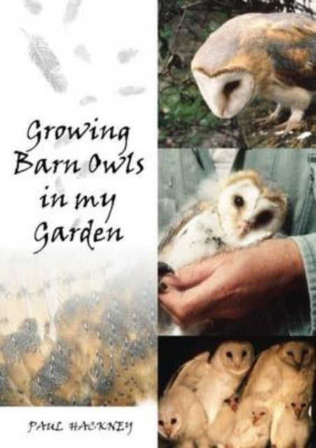 Book cover of: Growing Barn Owls in My Garden