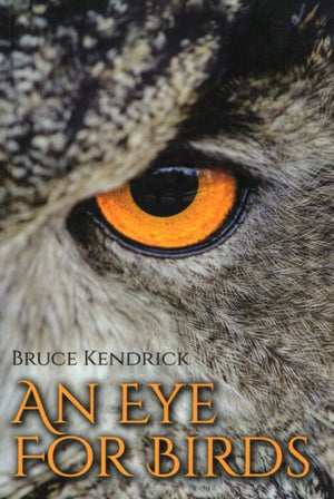 An Eye for Birds