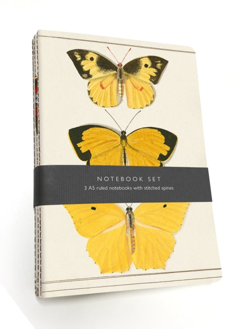 Book cover of: Butterfly Notebook Set. By: Bodleian Library