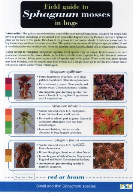 Book cover of: Field Guide to Sphagnum Mosses in Bogs