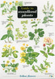 Book cover of: Guide to Woodland Plants