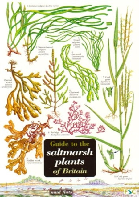 Book cover of: Guide to the Saltmarsh Plants of Britain