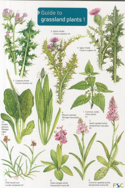Book cover of: Guide to Grassland Plants 1. By: Mavis Gulliver