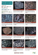 Book cover of: Guide to Common Rocks. By: Pellant, Chris, Pellant, Helen