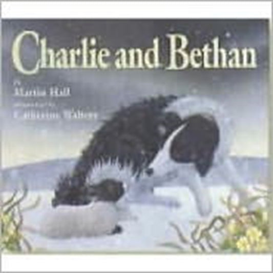 Book cover of: Charlie and Bethan. By: Martin Hall