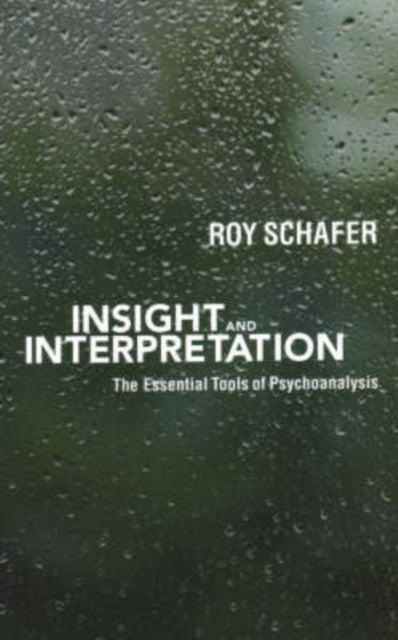 Insight and Interpretation