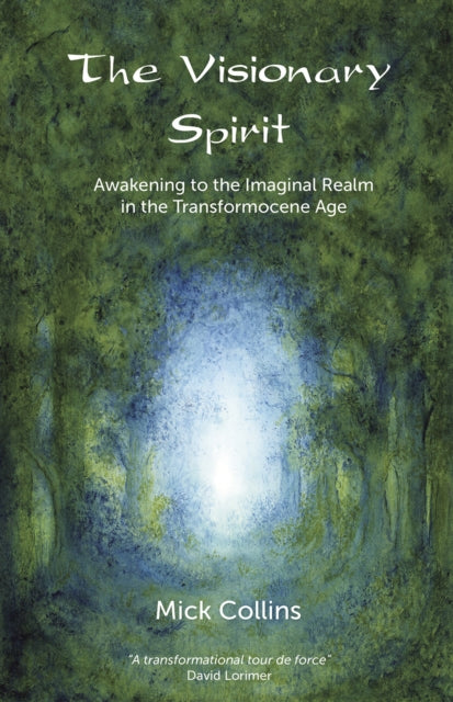 Book cover of: Visionary Spirit. By: Mick Collins
