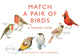 Book cover of: Match a Pair of Birds
