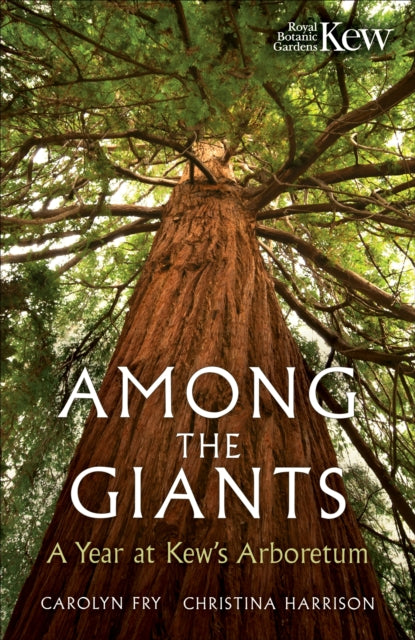 Among the Giants, A Year at Kew's Arboretum 9781856755672 Kew Gardens