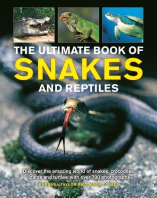 Book cover of: Snakes and Reptiles, Ultimate Book of. By: Barbara Taylor