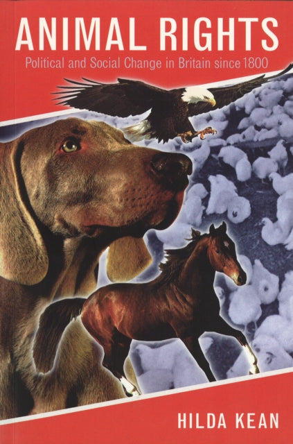 Book cover of: Animal Rights. By: Hilda Kean