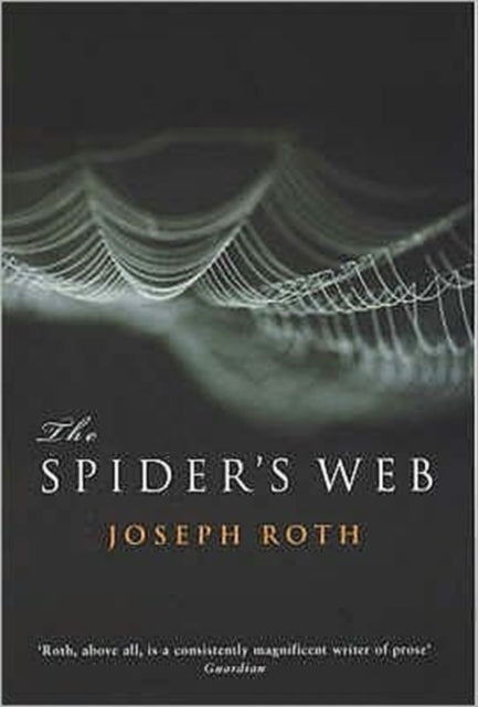 Spider's Web