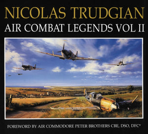Air Combat Paintings