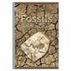 Book cover of: Fossils