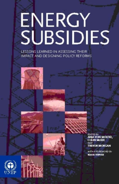 Book cover of: Energy Subsidies