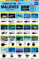 Book cover of: Maldives Fish Field Guide "Top 200+"