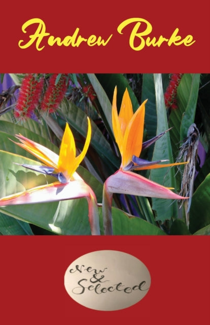 Book cover of: Andrew Burke New and Selected 2020