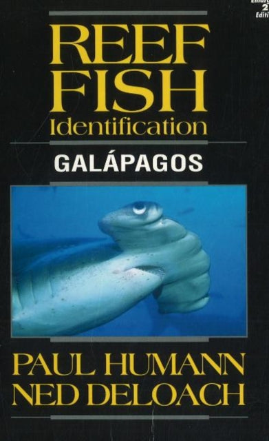 Reef Fish'i identifitseerimine