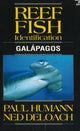 Reef Fish'i identifitseerimine